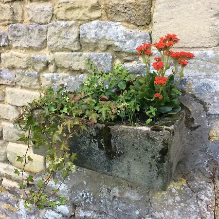 Le Manoir Des Doyens Loft - Sleeps 8 - D-day Museum On-site - Minute Walk To Commonwealth Cemetery! Bed & Breakfast